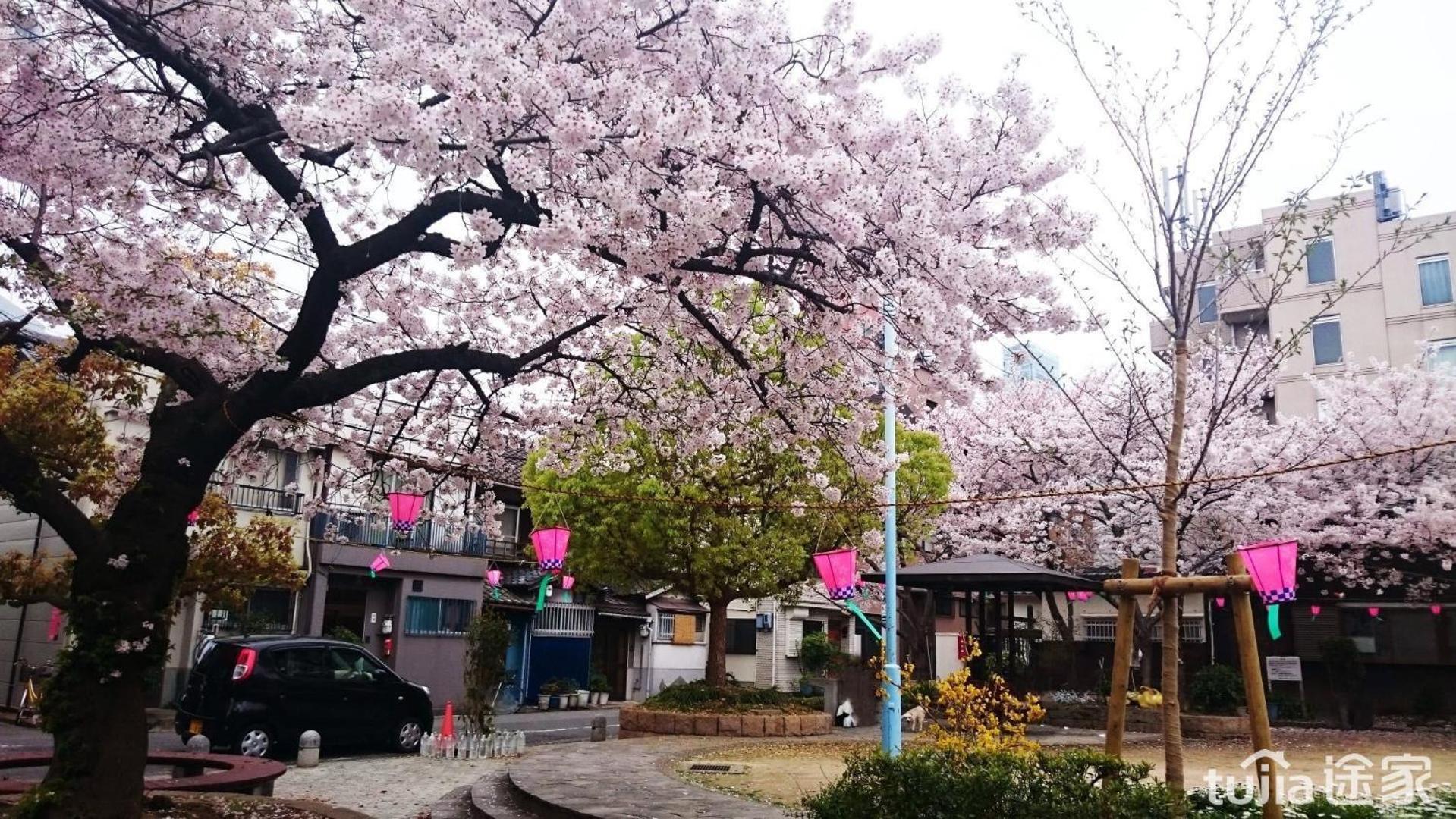 W.Kイン 大阪市 エクステリア 写真