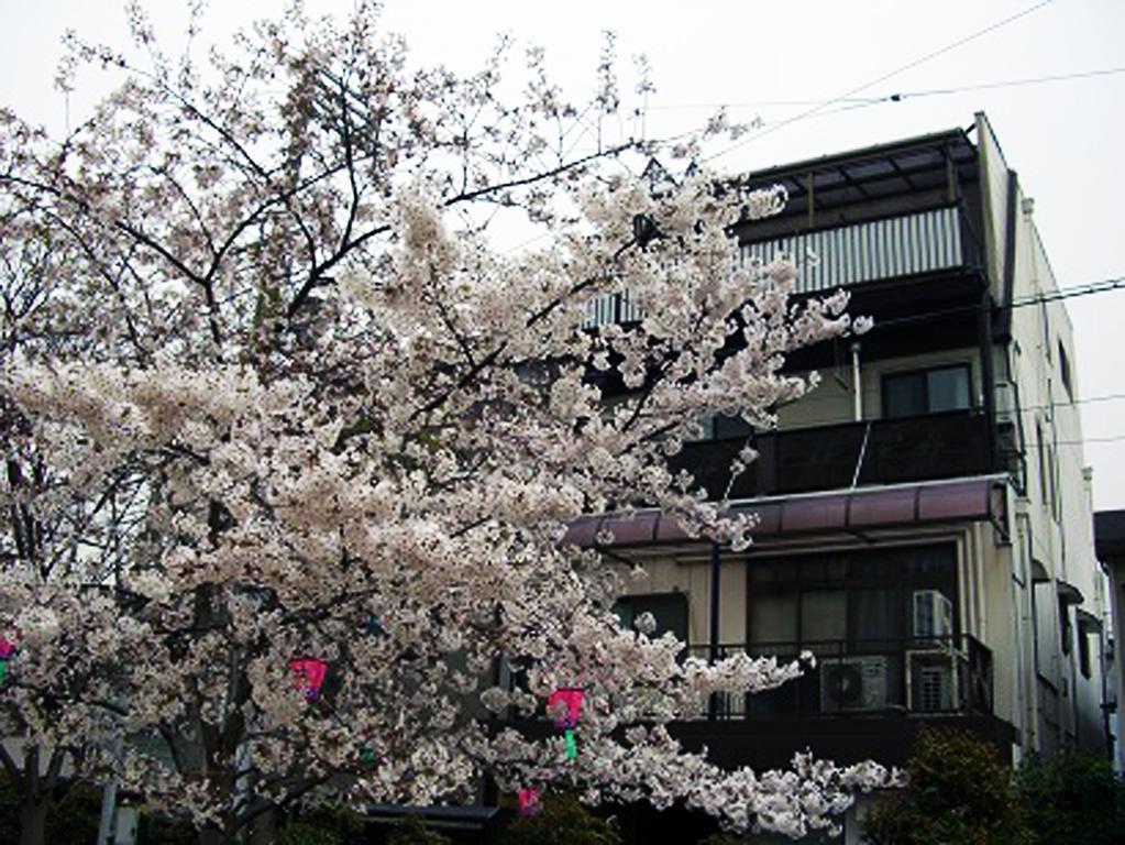 W.Kイン 大阪市 エクステリア 写真